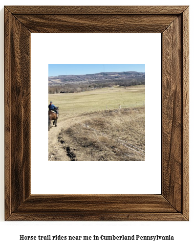 horse trail rides near me in Cumberland, Pennsylvania